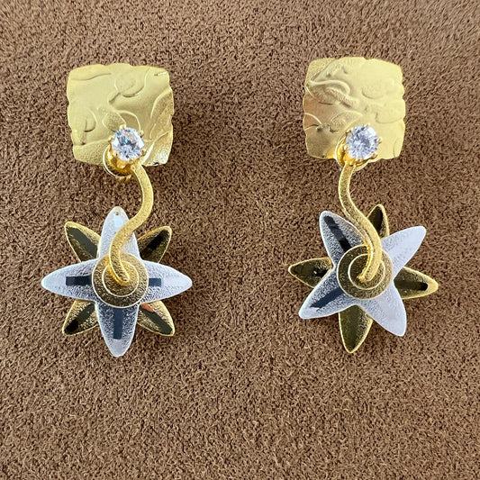 Posted Star earrings