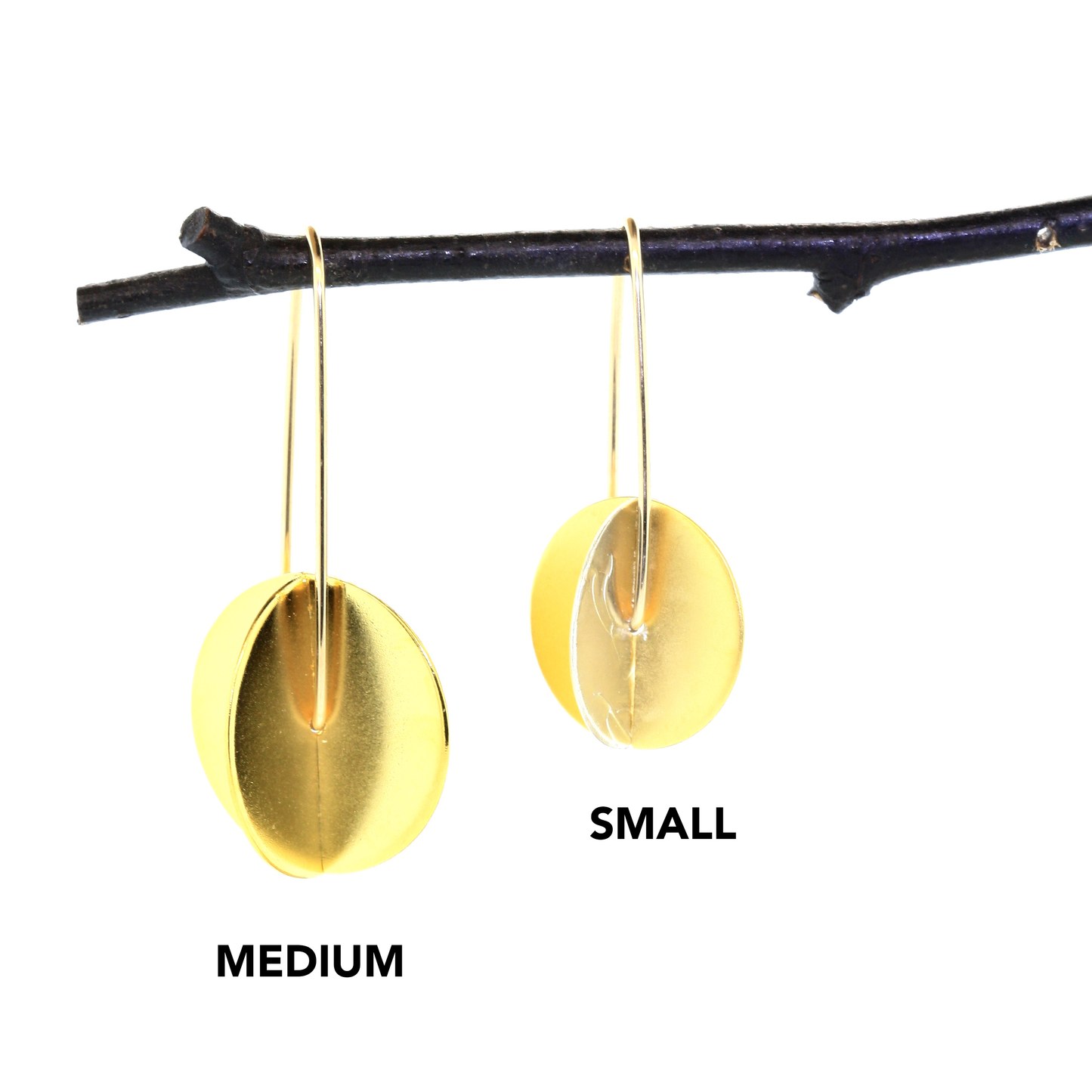 Double Circles--Small